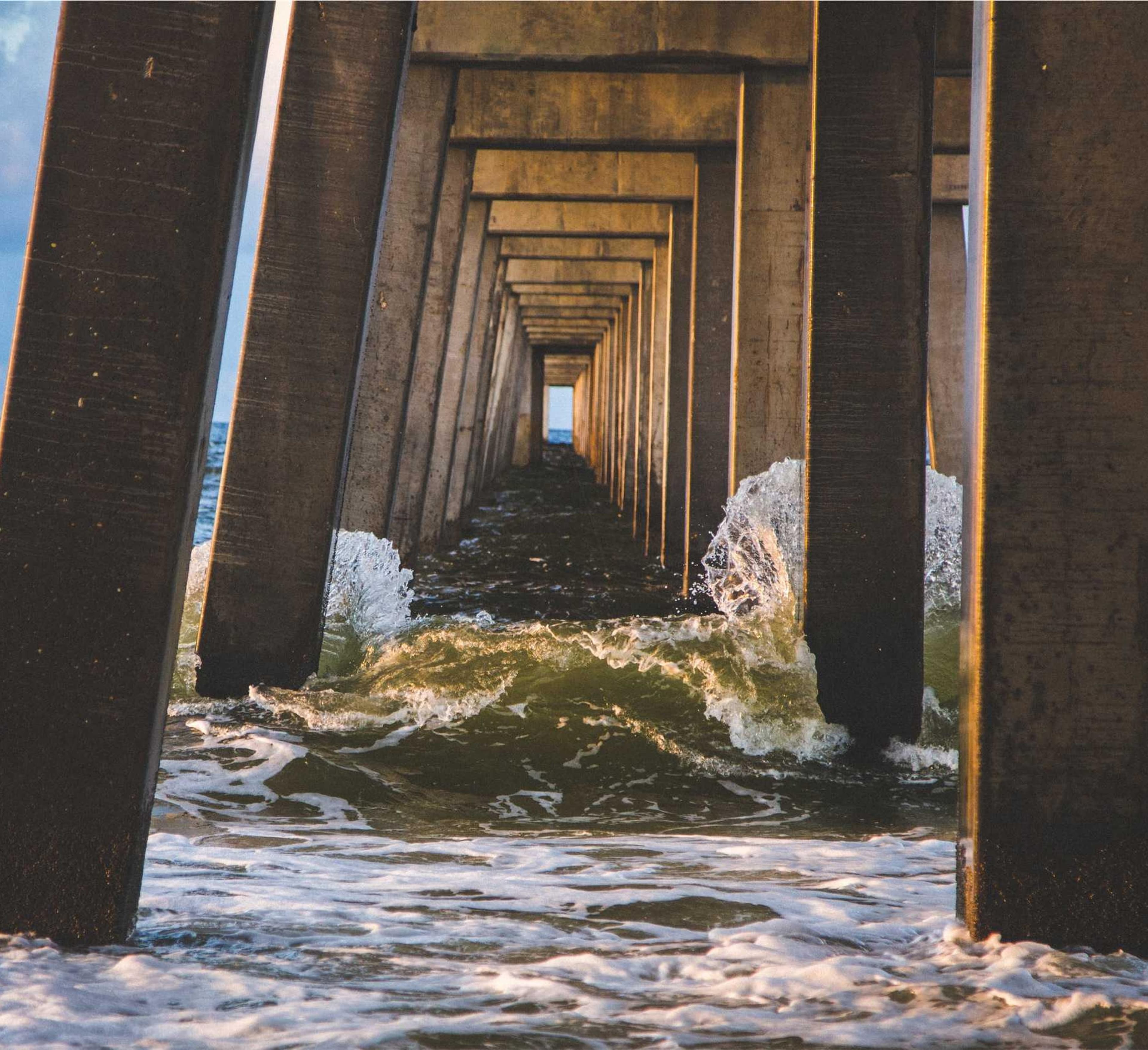 Dog Dance Derby 2026