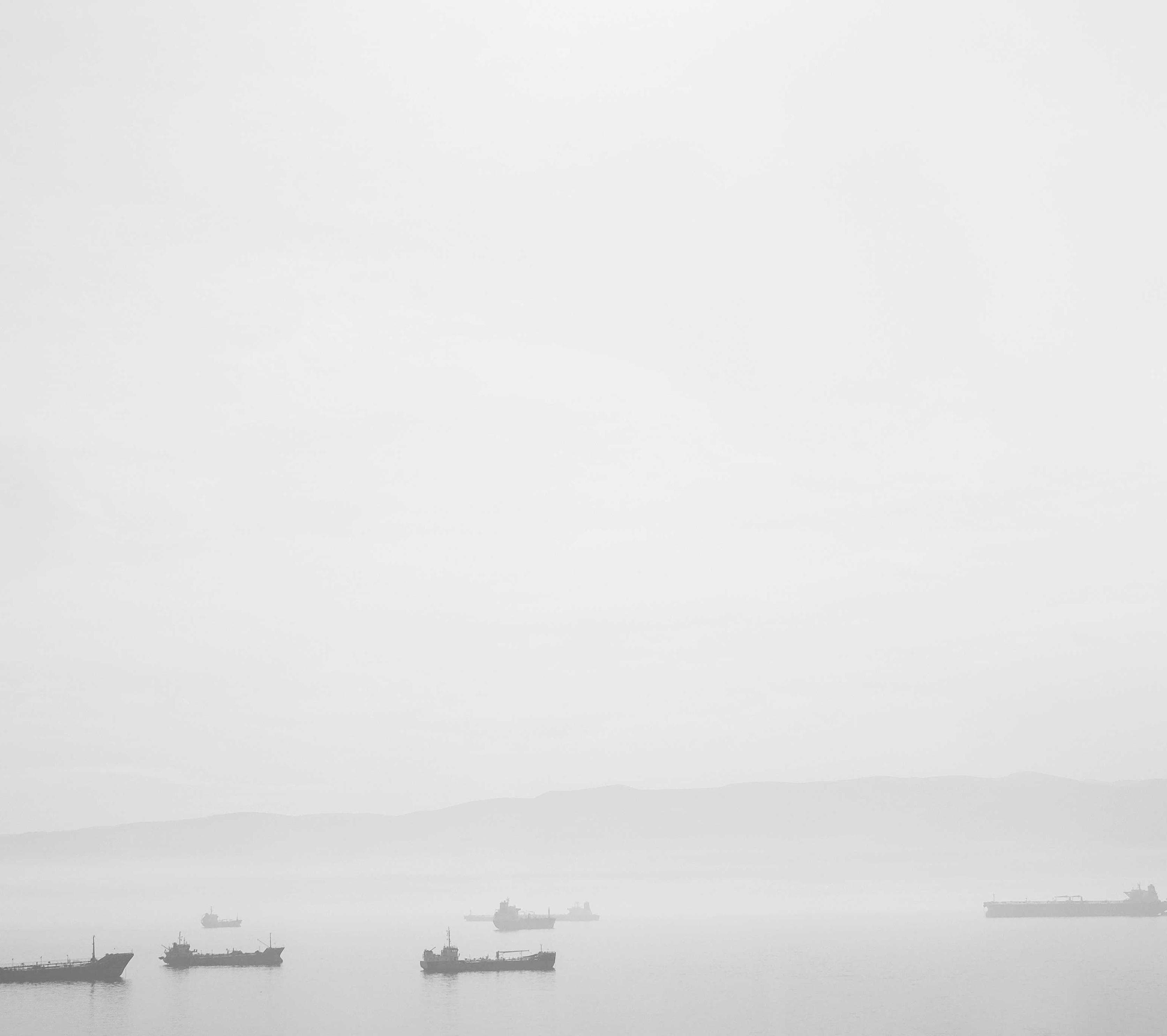 Sheffield Canine Classics