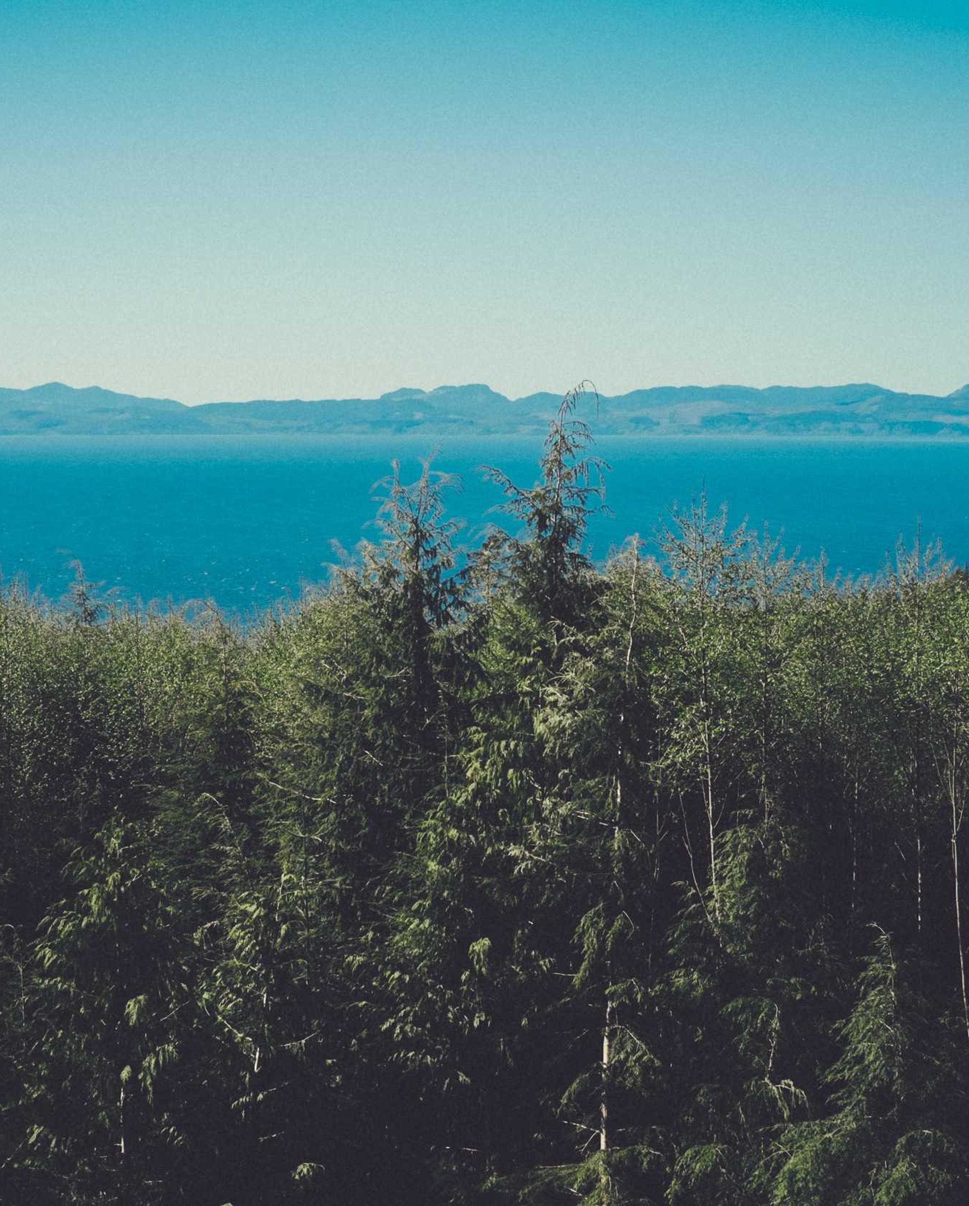 Oxford Freestyle Extravaganza 2026